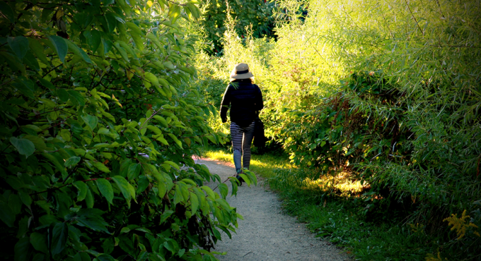 photo of a path surrounded by greenery with light at the end of the path. On the path is Catherine, the author of sensitiveskinlifestyle and this video.